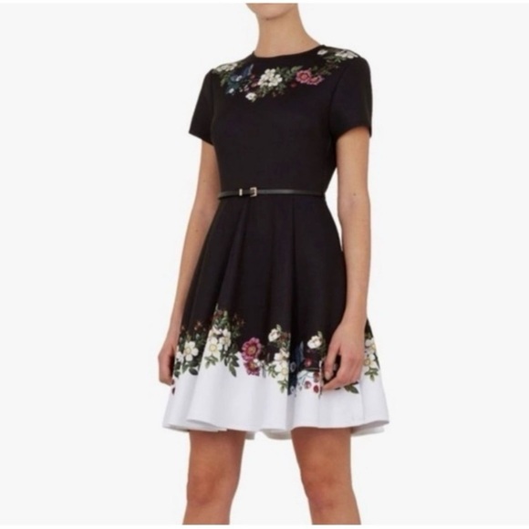 NWT Ted Baker London Chestnut Oracle Skater Dress - Picture 6 of 7